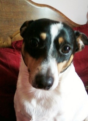 Bridget with a sad sack face