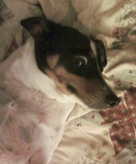 Bridget plays the victim.