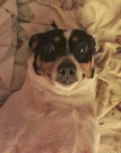 Bridget gets tickled.