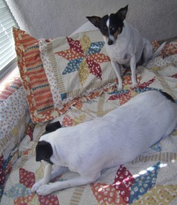 Envy is a terrible thing . . .