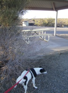 Spike leaves his mark.