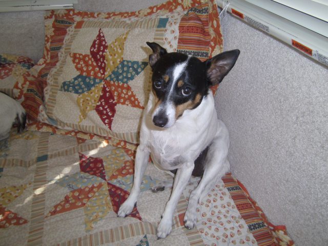 Bridget needs a nap.