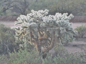 SANYO DIGITAL CAMERA