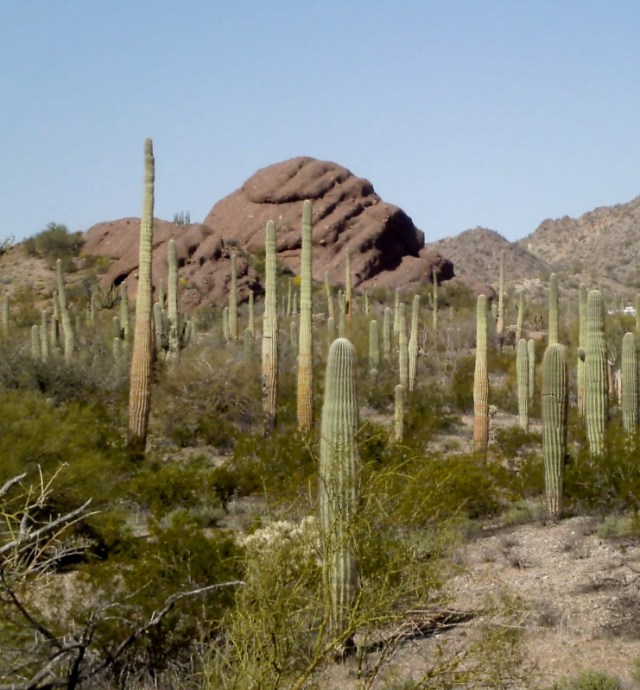 What? Need I say more?