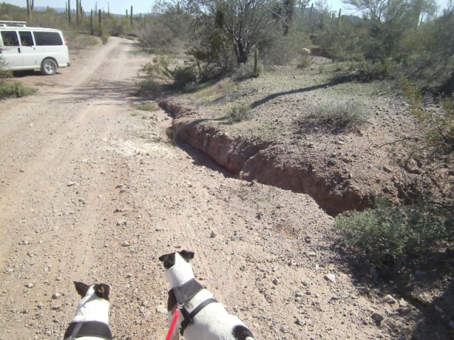 "And I need to know this information, why?"