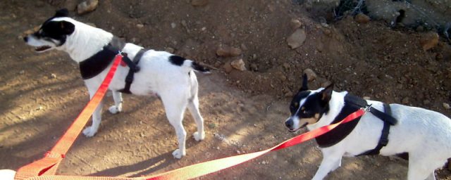 My crew is the greatest.