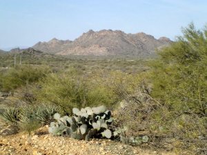 Lots of trails to explore!