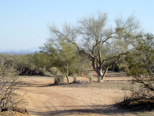 SANYO DIGITAL CAMERA