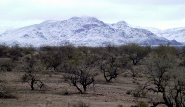 I did not fool around with the color of this photo. It looks this weird.