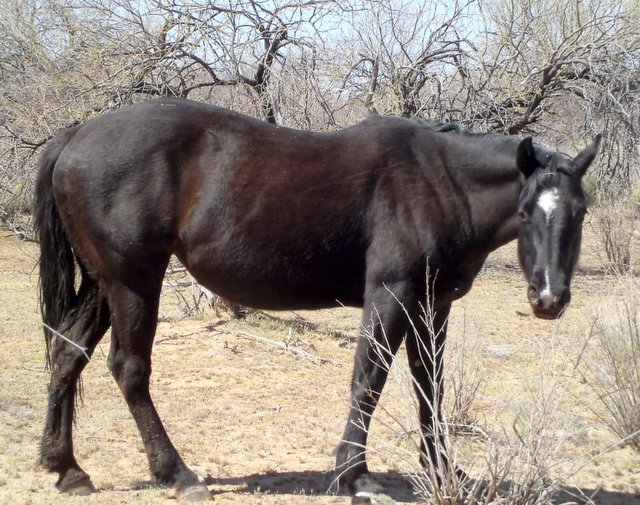 "Hello, there! Where have you been?"