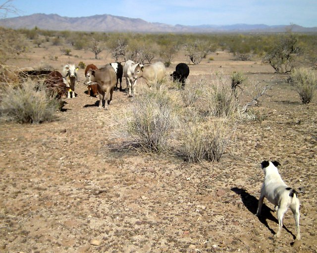 . . . I'll run inside the trailer and not come out til you're gone!"
