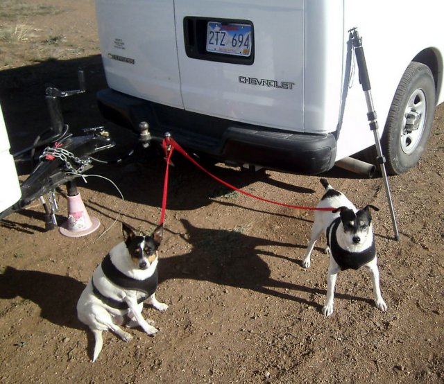 The Mick Stick: SLIK Pro Pod 600