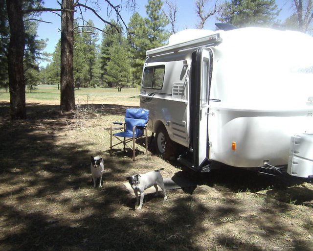 The crew and I have shade. The PTV's solar panel gets more sun at this camp.