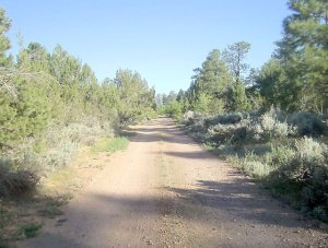 Eventually a vista appears.