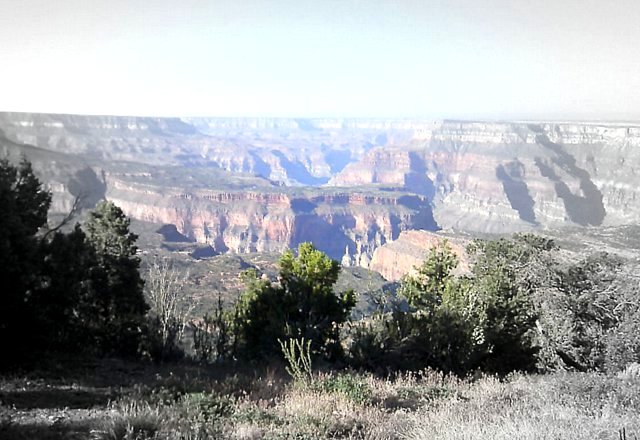 Whatcha 'spect for under $100?