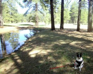 "Yes, little girl. Relax and enjoy yourself."