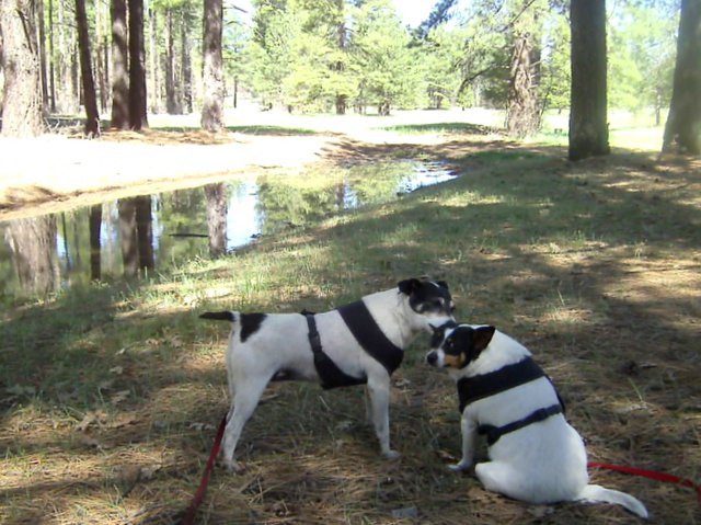 Don't ask why. Spike is weird.