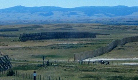 I am so glad it's not winter.