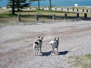Spike and Bridget at Clark Canyon