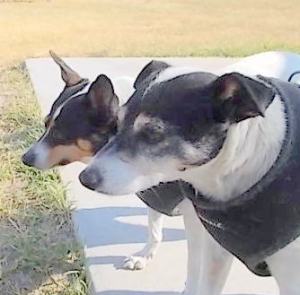 "On your mark, get set . . . ."