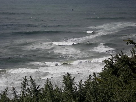 An ocean view from the Oregon coast