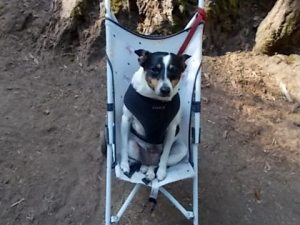 Bridget and Her Ride