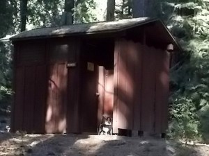 "I bet rvsue's gonna be sorry!"