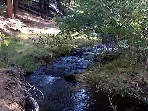Upper Rush Creek