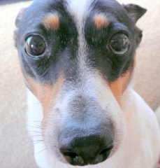 Bridget can't take it anymore.