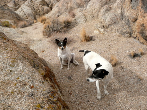 Alabama Hills hike