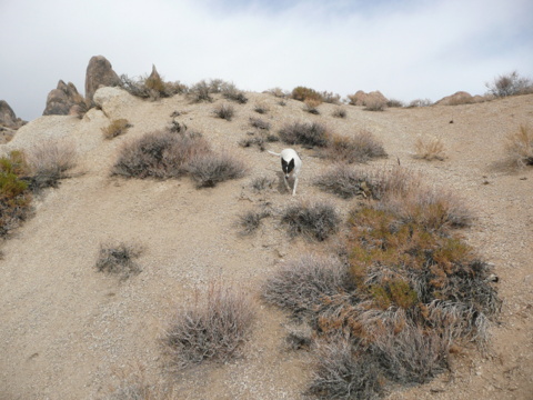 Good exercise for Bridget