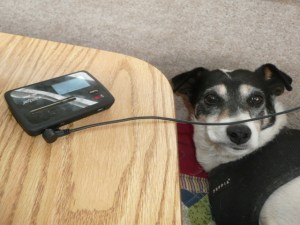 "Sorry to bother you, Spike. Go back to sleep."