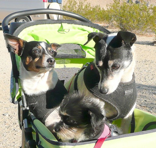 Spike has an evil thought