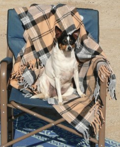 Bridget on new throw