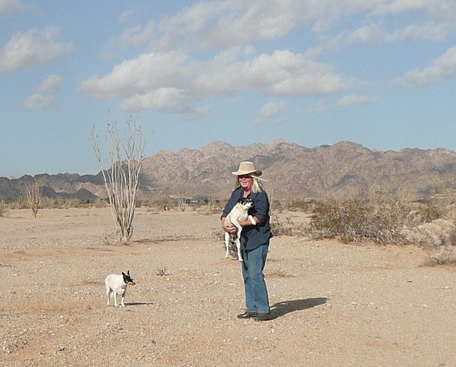 Christmas Eve 2012 at American Girl Mine Road