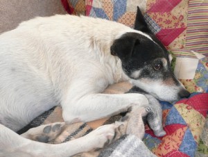 Uh . . . Is it time for lunch yet?