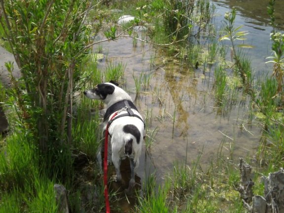 What a lovely oasis in the Arizona desert! Spike agrees.
