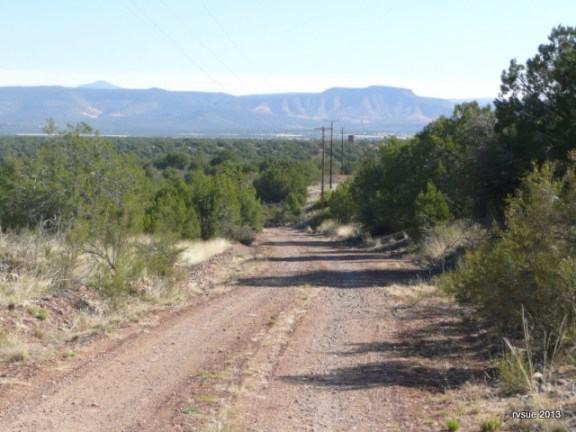 The crew and I stay on the dirt road.