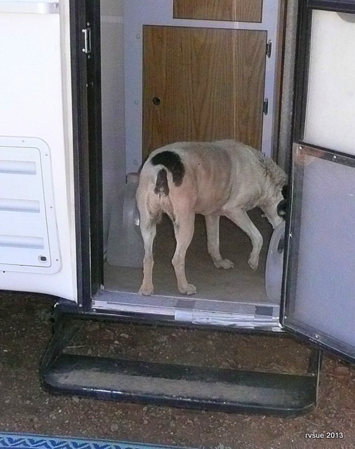 Ah yes, a drink is just what I need before I shake all this dust off me.
