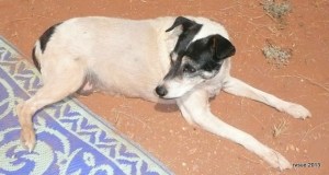 Let's see . . . What excuse can I come up with to go inside?