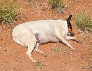 Ooh, that sun feels so good!