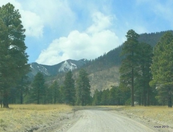I took this pic through the windshield because a car passed us and kicked up dust.