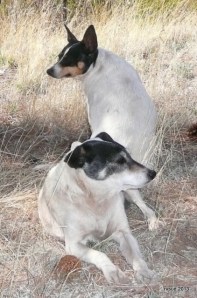 Well, two compass points are covered . . . 