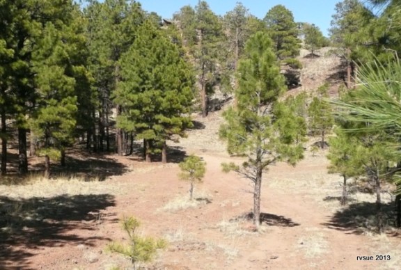 A secluded site protected from wind