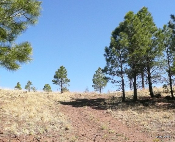 "Hey, guys.  Let's see what's beyond that hill."