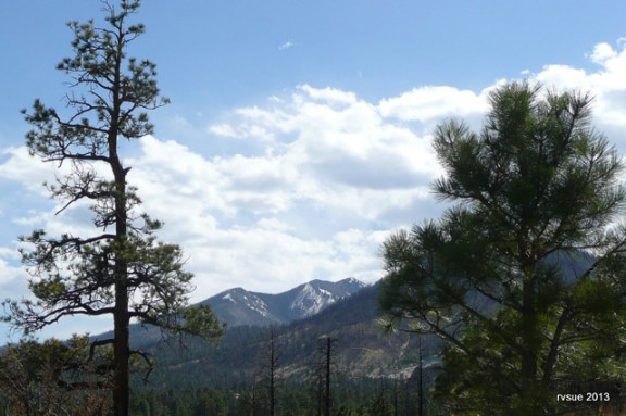 Looking southwest toward the San Francisco Peaks
