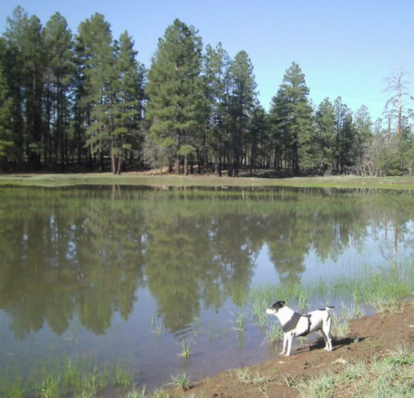 SANYO DIGITAL CAMERA