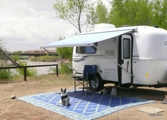 The crew is out of the pen and off-leash for this photo only.