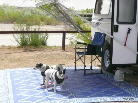 The river flows beyond and below the railing.