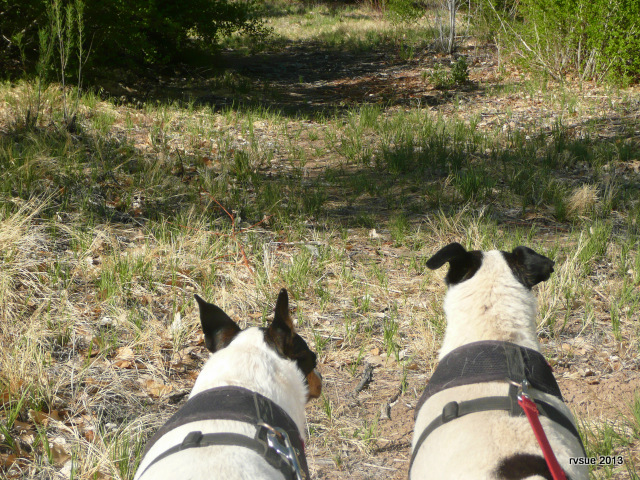 "Hey, Spike. Isn't this place cool?"